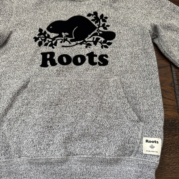 Roots Kids Gray and Patterned Hoodies - Picture 3 of 9
